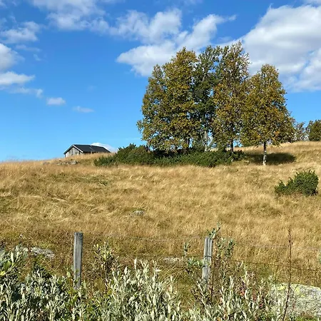 Family Cabin With Panoramic Views At Golsfjellet