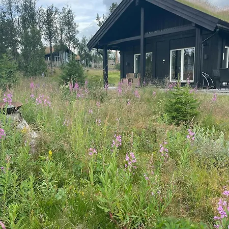 Family Cabin With Panoramic Views At Golsfjellet Gol