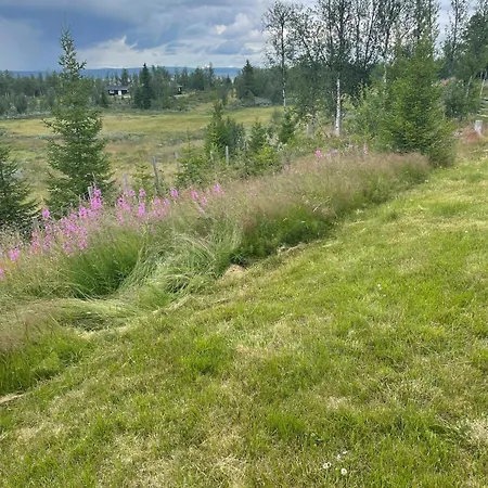 Family Cabin With Panoramic Views At Golsfjellet Дом отдыха *
